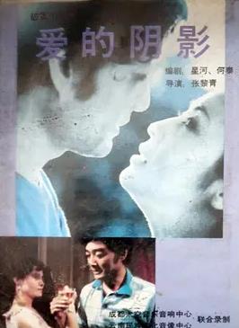 爱的阴影封面图
