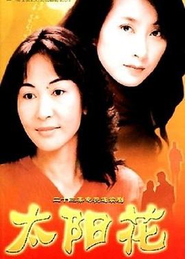 太阳花2004封面图