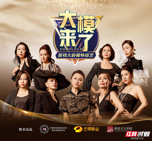 大模来了封面图