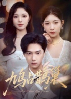 鸠占鹊巢顶流夫人的致命陷阱封面图