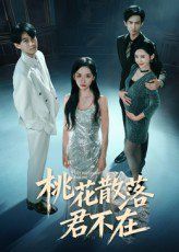 我下跪感谢小三替我怀孕（桃花散落君不在）封面图