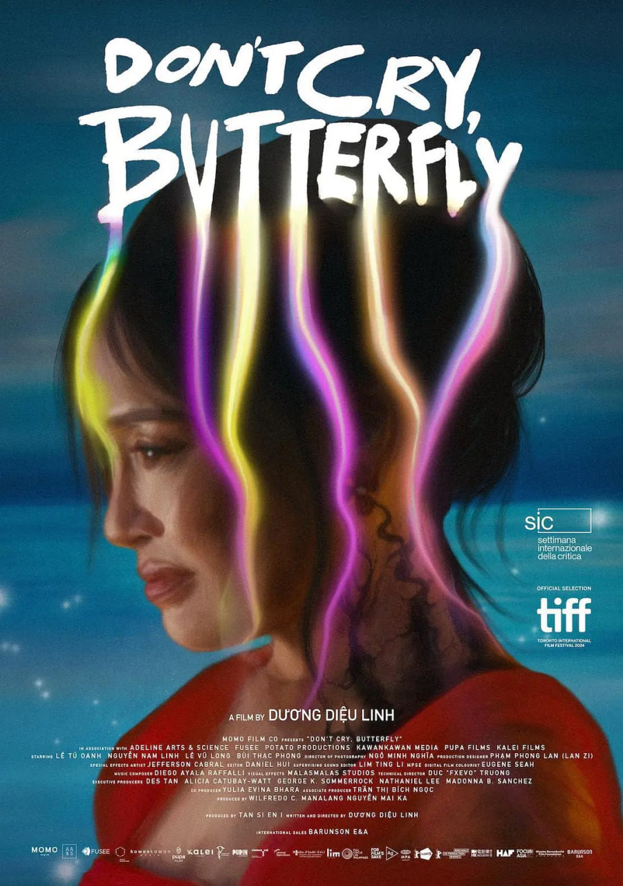 蝴蝶，别哭封面图