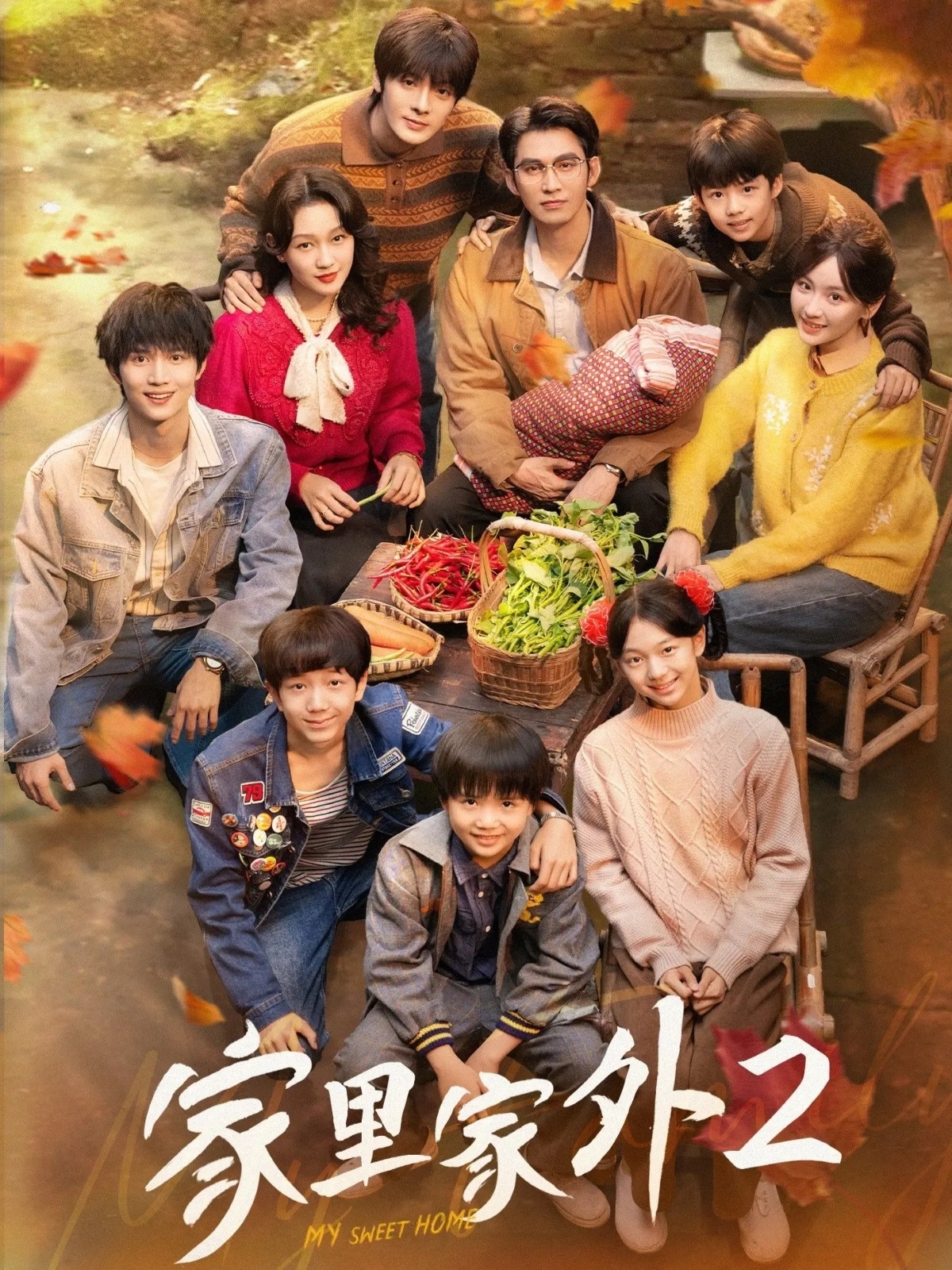 家里家外第二季封面图