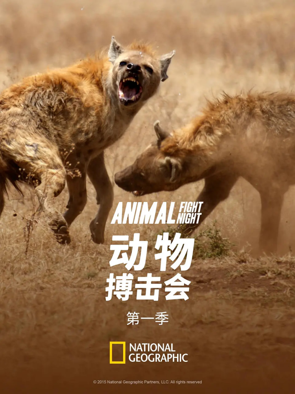动物搏击会封面图