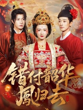 错付韶华凤归去凤起青萍末封面图