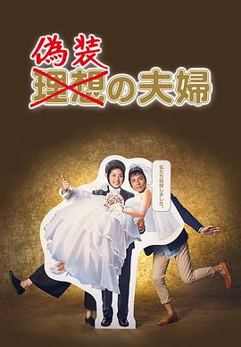伪装夫妇2015封面图