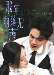 那年雨落无声封面图