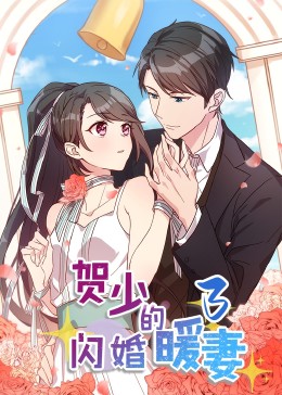 贺少的闪婚暖妻·第三季封面图