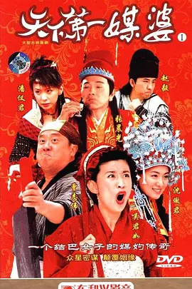 天下第一媒婆(2006)封面图