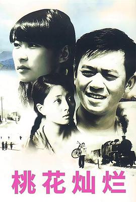 桃花灿烂2007封面图
