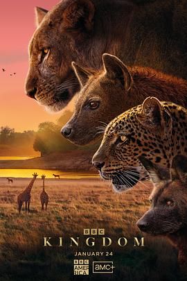 动物王国国语封面图