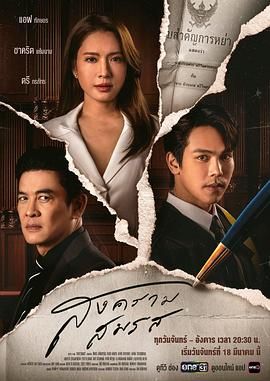 婚姻战：弃爱案件[国语]封面图