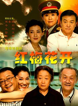 红梅花开封面图