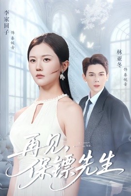 再见保镖先生保镖先生我不要你了封面图