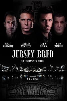 帮派风云封面图