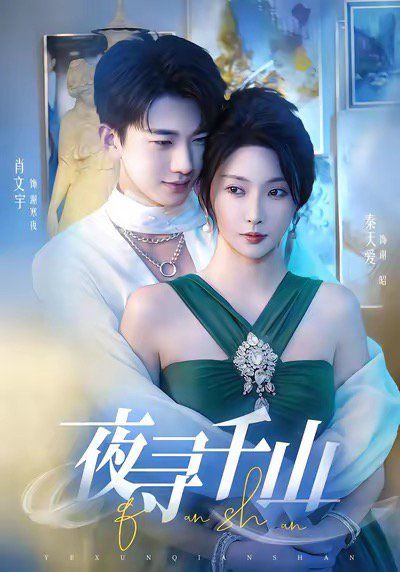 夜寻千山（夜巡千山）封面图