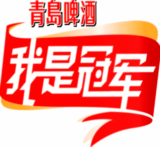 2008我是冠军封面图