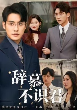 辞慕不识君七年情深终成侮封面图