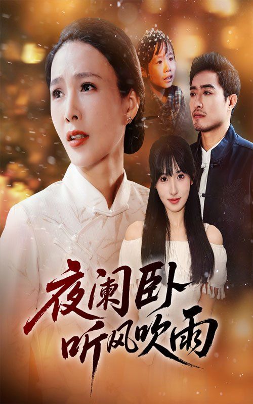 夜阑卧听风吹雨封面图