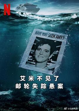 艾米不见了:邮轮失踪悬案封面图