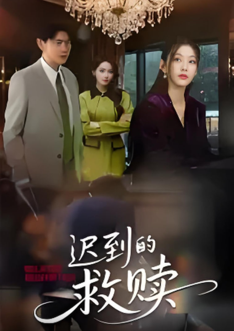 迟到的救赎2025封面图