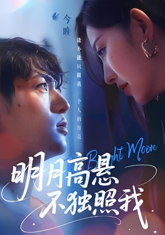 明月高悬不独照我封面图