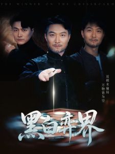 黑白弈界封面图
