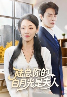 陆总你的白月光是夫人封面图