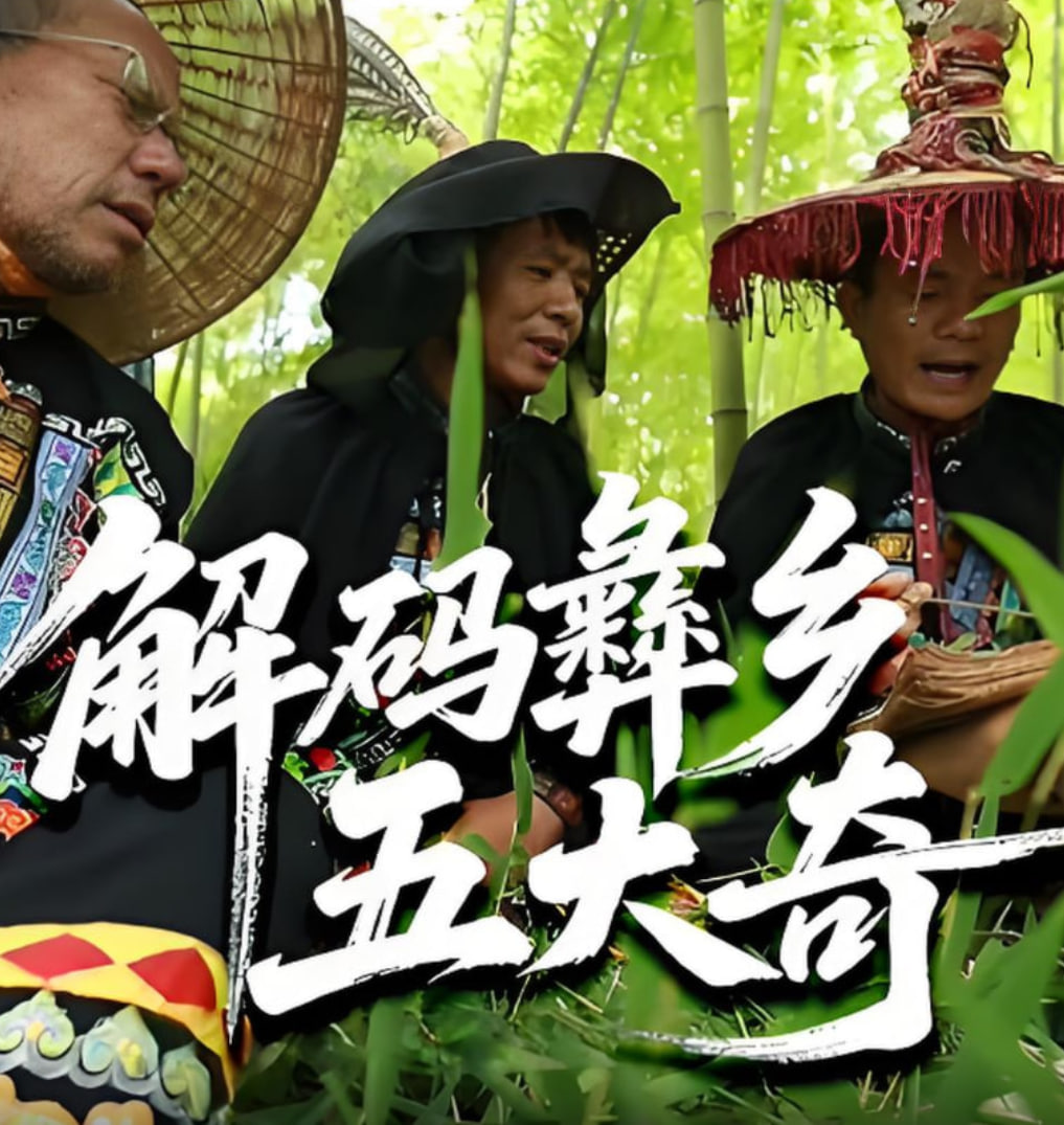 解码彝乡五大奇封面图