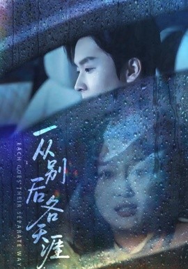 一从别后各天涯言尽昕迟爱已成灰封面图