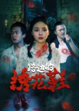 路边的绣花鞋封面图
