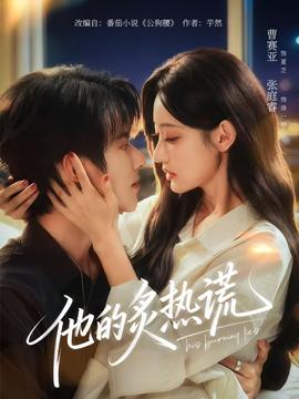 他的炙热谎封面图