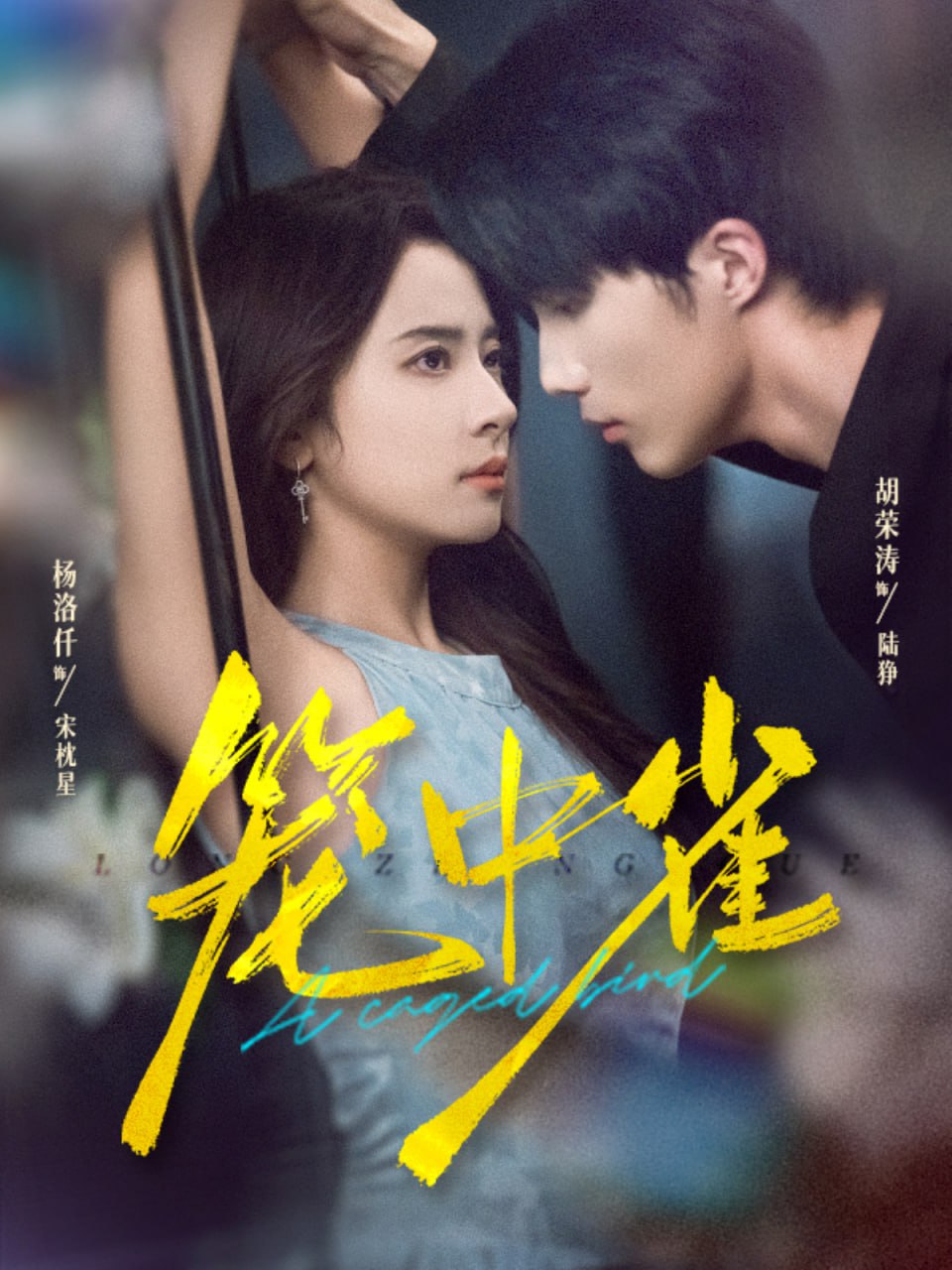 笼中雀2025封面图