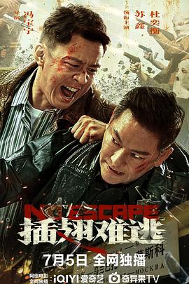 插翅难逃2025封面图