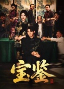 宝鉴封面图