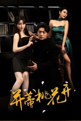 并蒂桃花开双生烬封面图