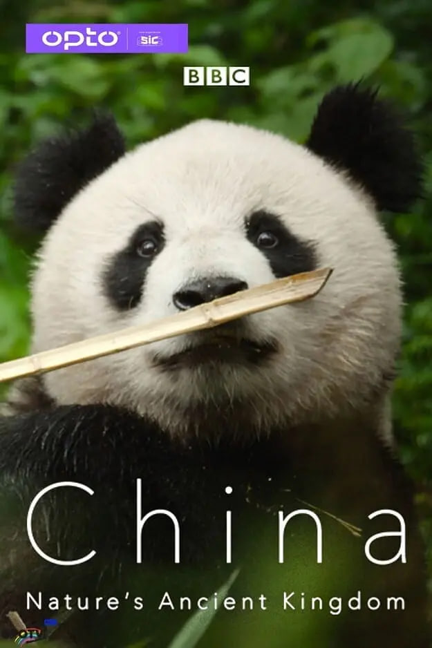 中国：大自然的古老王国封面图
